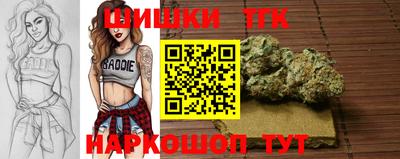 прущие грибы Малгобек