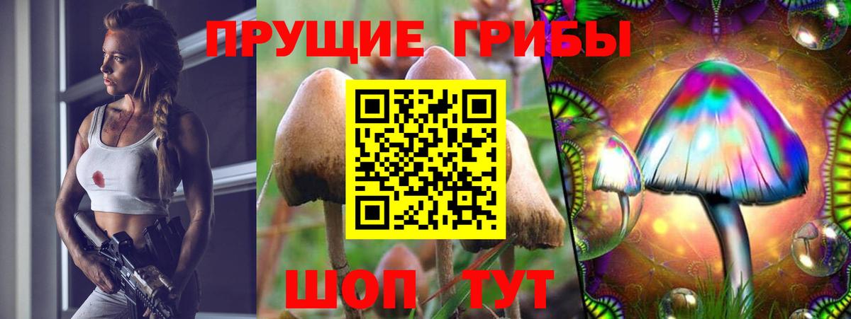 Псилоцибиновые грибы MAGIC MUSHROOMS Тавда